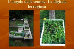 Presentazione-giardino-della-Cocla27