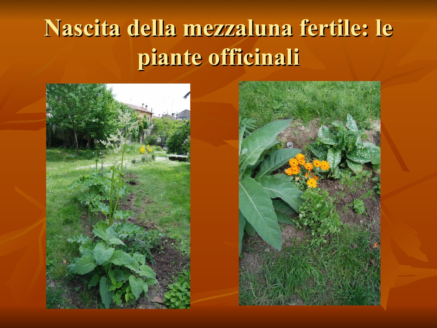 Presentazione-giardino-della-Cocla24