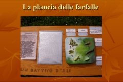 Presentazione-giardino-della-Cocla11