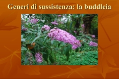 Presentazione-giardino-della-Cocla13
