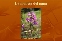 Presentazione-giardino-della-Cocla14