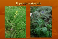 Presentazione-giardino-della-Cocla15