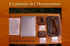 Presentazione-giardino-della-Cocla17