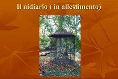 Presentazione-giardino-della-Cocla18