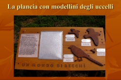 Presentazione-giardino-della-Cocla19