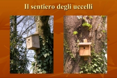 Presentazione-giardino-della-Cocla20