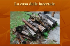 Presentazione-giardino-della-Cocla22