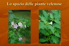 Presentazione-giardino-della-Cocla25