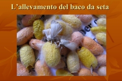 Presentazione-giardino-della-Cocla32
