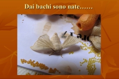 Presentazione-giardino-della-Cocla33