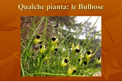 Presentazione-giardino-della-Cocla34