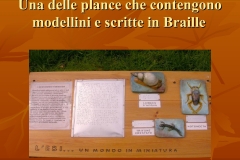 Presentazione-giardino-della-Cocla4