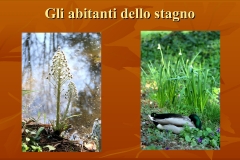 Presentazione-giardino-della-Cocla5