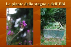 Presentazione-giardino-della-Cocla6
