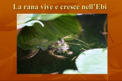 Presentazione-giardino-della-Cocla7