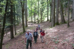 Gev a Sasso Fratino (12)