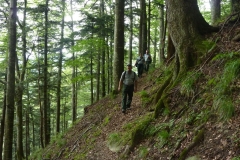 Gev a Sasso Fratino (14)