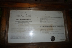 Gev a Sasso Fratino (17)