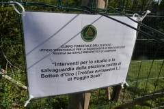 Gev a Sasso Fratino (2)