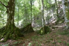 Gev a Sasso Fratino (6)