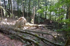 Gev a Sasso Fratino (9)